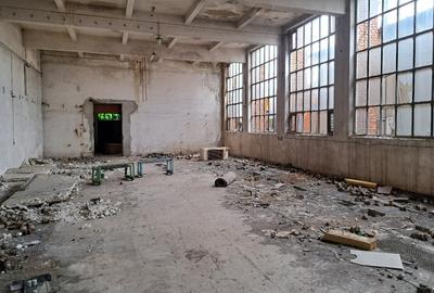 Republica (Industriilor), spatiu industrial/productie/servicii de inchiriat - 8