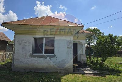 Casa / Vila cu 3 camere de vanzare Casa / Vila cu 3 camere de vanzare - 5