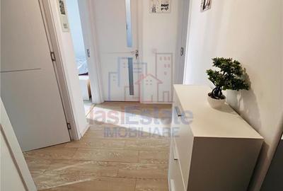 Apartament cu 2 camere decomandat în Lunca Cetățuii - 6