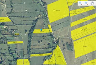 Teren agricol intravilan de 8310 mp, în Sohodol