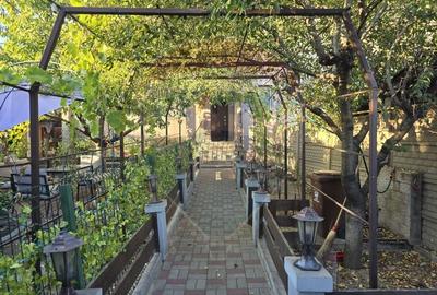 Casă / Vilă cu 5 camere de vânzare în zona George Enescu - 27