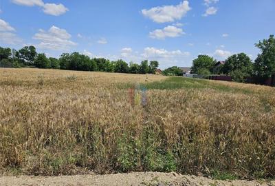 Teren Cazasu 2500 mp posibilitati utilitati 30 euro/mp - 2