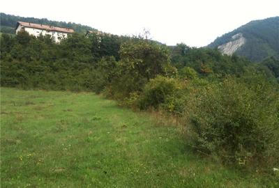 Teren de 14000 mp, în Central - 6