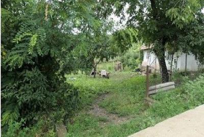 Casă cu 2 camere cu Teren 2361 Mp în Costinești - 16
