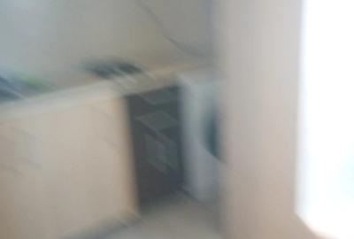 Inchiriez gars renovata, curata, Iosia! - 4