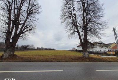 Teren de 7000 mp, în Agapia - 3