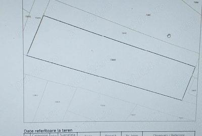 Vand teren sat Valisoara,Jud Alba, (langa Cheile Valisoarei) - 2