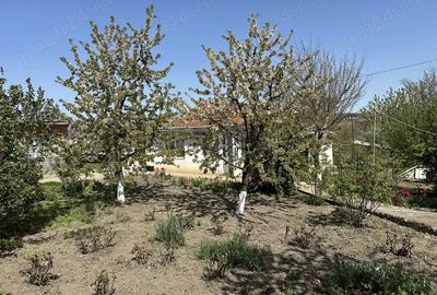 Casa cu 3 camere Zaicesti - 9