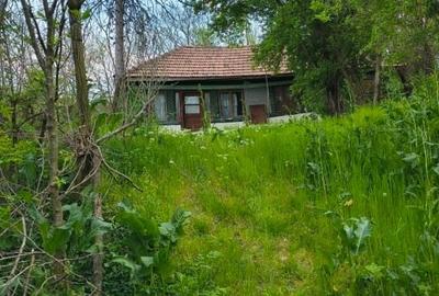 Teren intravilan si extravilan 4000 m2 Jud Buzau - 6