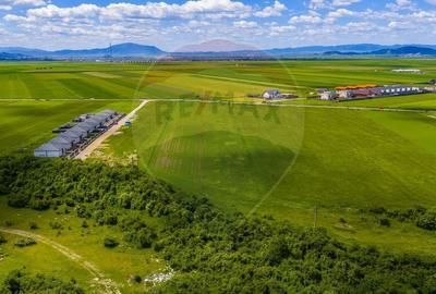 Teren Construcții intravilan de 8600 mp, în Tărlungeni - 7