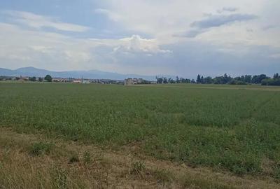 Teren de 400 mp, în Central - 3