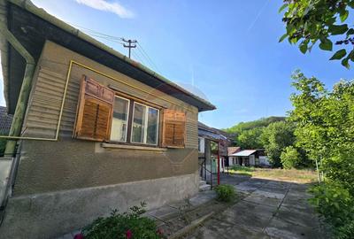 Casa pe un nivel in Medias, teren 533 mp, curte dreapta - 2