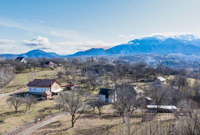 Teren Construcții intravilan de 1260 mp, în Predeluț - 3