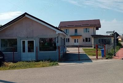 Casă cu 6 camere cu Teren 565 Mp în Ișalnița - 4