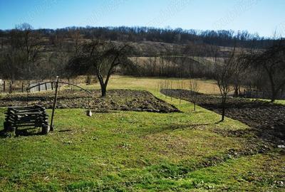 Casă cu 3 camere în Făget - 1