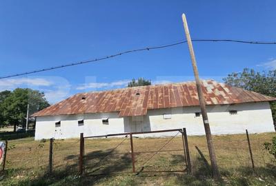 Constructie tip hala, 240 mp utili, teren 1000 mp, Brabova D - 3