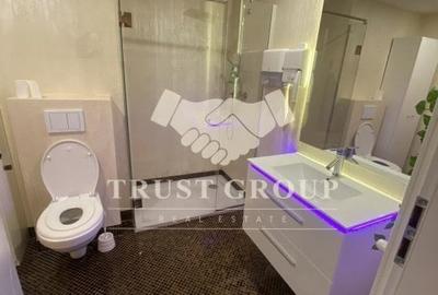 Apartament 2 camere de vanzare Herastrau | Terasa 16mp - 17