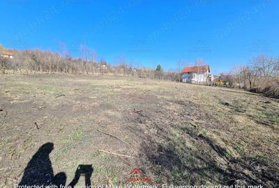 Casă cu Teren 4391 Mp în Cornu - 4