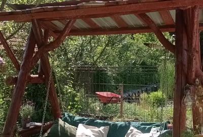 De vanzare Casuta din lemn pirogravata si unicata in lume - 4
