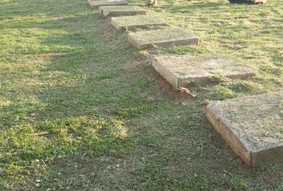 Vand teren cu anexa in Cartierul Pomilor If. Magurele aprox 500 mp, - 8