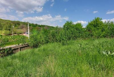 Teren intravilan 1490 MP Bratuleni Miroslava - 3