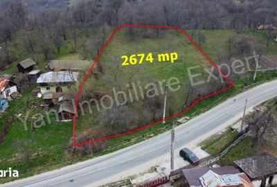 Teren de 2674 mp, în Cepari - 9
