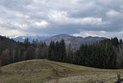 Teren de 3040 mp, în Bran