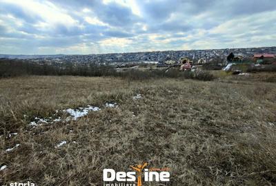 Spațiu comercial, în Copou