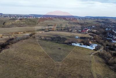 Teren agricol intravilan de 2592 mp, în Lipoveni - 10