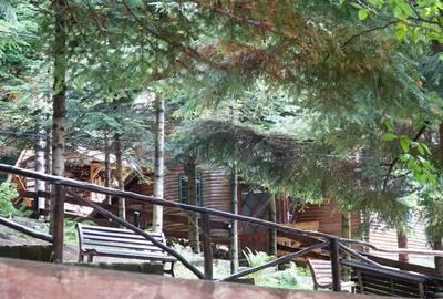 DE VANZARE Pensiune | 12 camere | Bisoca / Buzau - 8