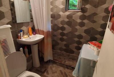 Apartament cu 2 camere semidecomandat în Rahova - 14
