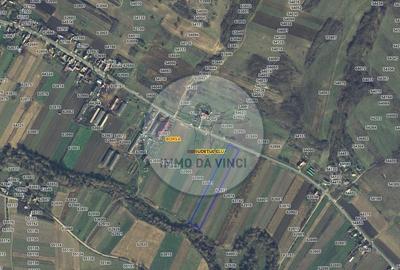 Teren de 38000 mp, în Borșa - 13