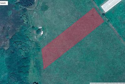 Teren de 2500 mp, în Central