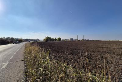 Teren Construcții intravilan de 9988 mp, în Tunari - 10