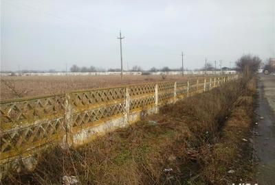 Teren de 43000 mp, în Căzănești - 1
