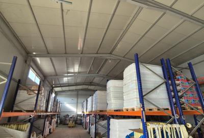 Hale | Afumati DN2 | 1000mp - 8