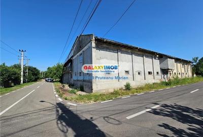 Vanzare Moara cu spatii Industriale situate in comuna Daia jud Giurgiu - 36