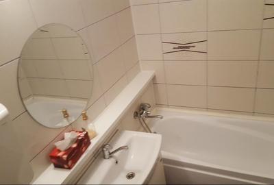 Garsoniera, 2 min de LIDL, Marius, Profi, Mega / statie RATB la scara, renovata - 12