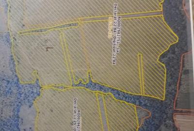 Teren de 420000 mp, în Orăștie