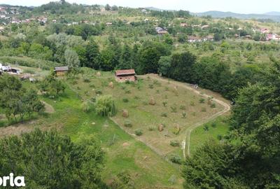 Teren de 6200 mp, în Cicănești - 12