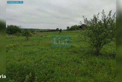 Spațiu comercial, în Sopor - 4