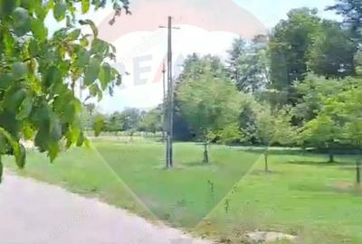 Casa langa parau-sat Brusturi, com. Halmagiu - 4