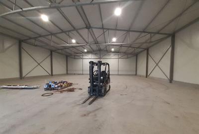 Hala noua in zona Gara Catelu, Drumul Intre Tarlale - 1