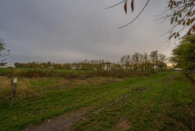 Teren în Afumați - 5