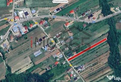 Teren de 2893 mp, în Băbana - 2