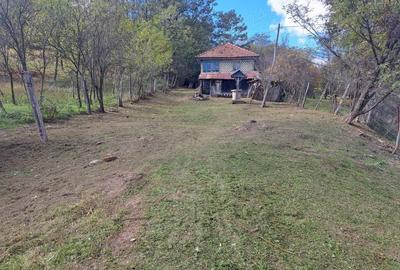 Casă cu 3 camere în Central