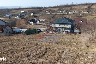 Teren de 3000 mp, în Bârnova - 3