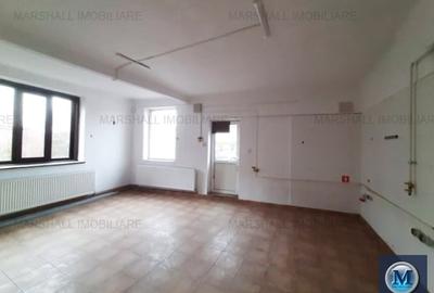 Vila cu 11 camere de vanzare, zona Gheorghe Doja, 237.7 mp #16106 - 12