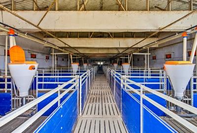 Teren Construcții intravilan de 43708 mp, în Scobâlțeni - 28