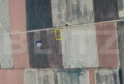 Teren în Viile Satu Mare - 1